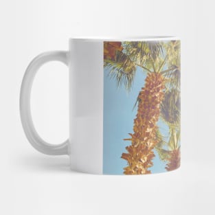 Pretty picture of a Palm Tree. Pretty Palm Trees Photography design with blue sky Mug